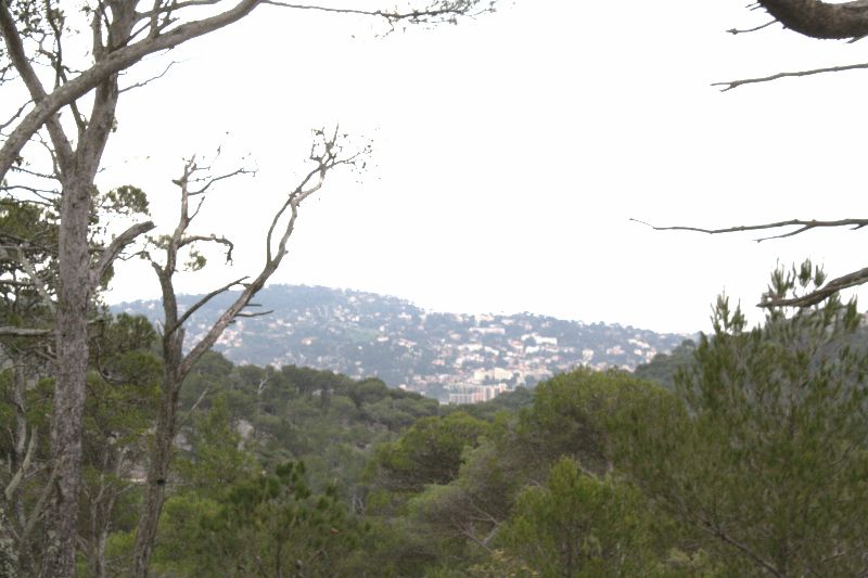 gal/Saison 2011/En_route_vers_le_Mont_Faron/IMG_9745.JPG